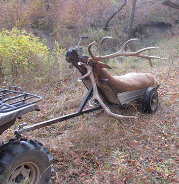 Coteau Hills Elk Hunts